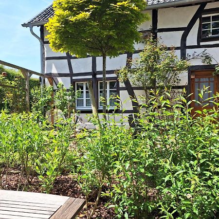 Ferienhaus Altes Backhaus Roetgen Dış mekan fotoğraf